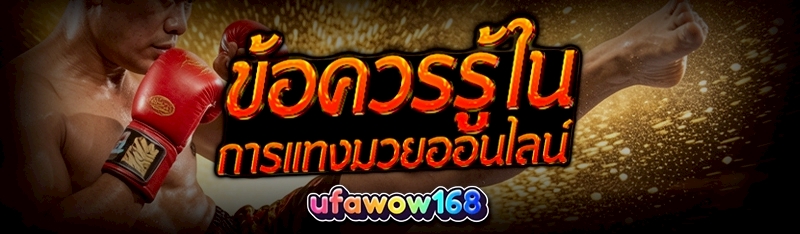 การแทงมวยออนไลน์