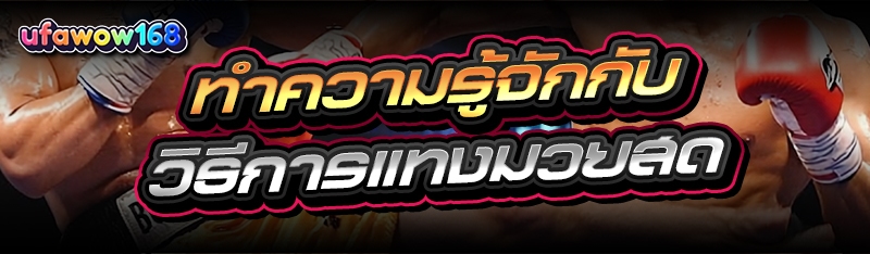 วิธีการแทงมวยสด