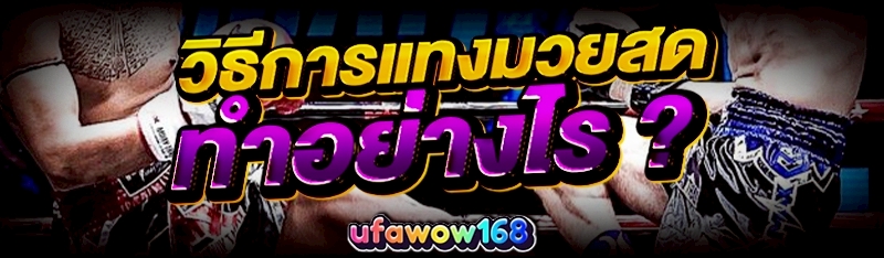 มวยสด