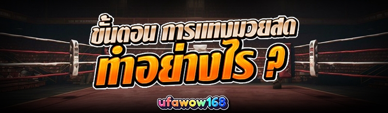 การแทงมวยสด
