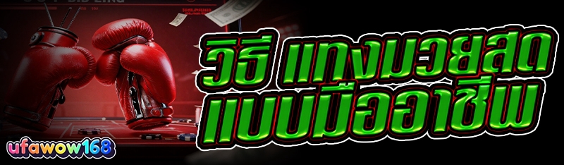 แทงมวยสด